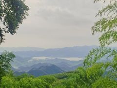 -莫干山风景区