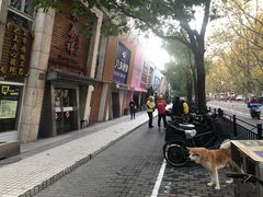 -东泰祥生煎馆(陕西南路店)