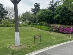 -桐乡凤凰湖