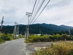 -北京鹫峰国家森林公园