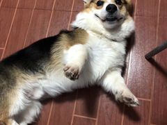 -北京佳信宠物医院