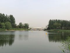 -大兴滨河森林公园