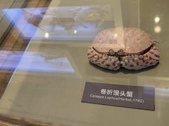 -舟山博物馆