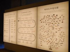 -無用生活空间(北京店)