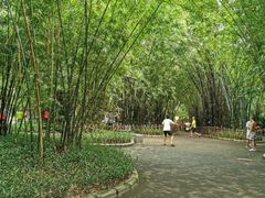 -晓港公园