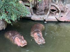 -长鹿旅游休博园