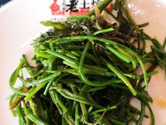 炝拌野沙葱-王村姑老土炕莜面村(桥东店)