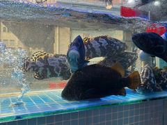 -40号厦门海鲜大排档(中山路店)