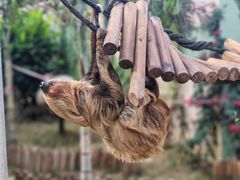 -正佳雨林生态植物园