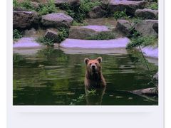-宁波野生动物园