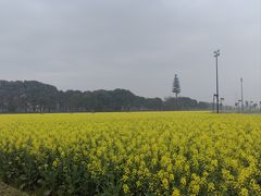 -乌村