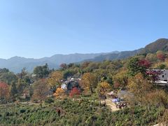 -塔川景区