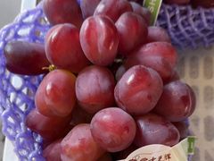 -马陆小张葡萄园农家乐