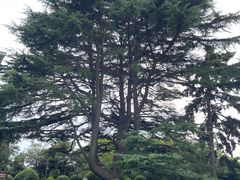 -青岛德国总督楼旧址博物馆