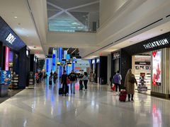 -纽瓦克自由国际机场