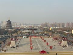 -洛阳市隋唐城遗址植物园