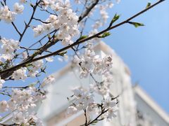 -杭州电子科技大学(下沙校区)
