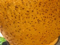 -吴越荣记苏州菜·松鼠桂鱼100%活鱼现做(斜塘老街店)