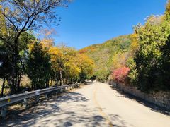 -北京十三陵国家森林公园蟒山景区