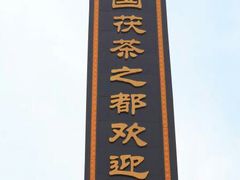 -茯茶镇