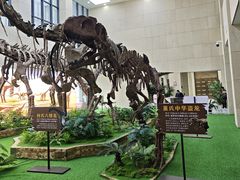 -广西壮族自治区博物馆