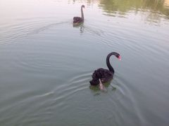 iphone_upload_pic-上海怡沁园度假酒店