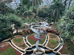 -南山植物园