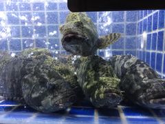 -徐记海鲜(大明宫|北二环店)