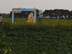 -长洲岛
