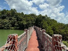 -广州白江湖森林公园