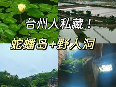 -杨记海鲜楼(三门黑金冠店)