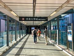 -香港大学