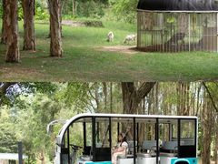 -福建鲤鱼洲酒店