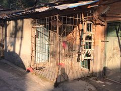 -福州市仓山小学