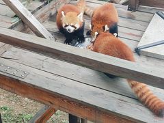 -乐和乐都主题乐园