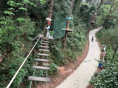 -芦仙山景区-飞越丛林探险乐园