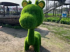 -苏州太湖西山岛开心农场