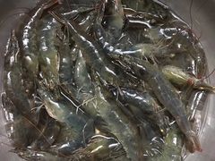 -盒马鲜生(大成店)