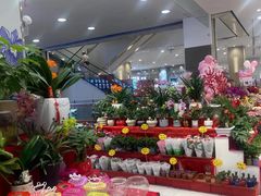 -永旺梦乐城(金银潭店)