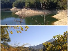 -广州市流溪河国家森林公园