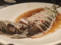 -凤凰湘语(浦东旗舰店)