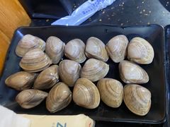 蚬子-丹东丛炟海鲜烧烤(江艺路店)