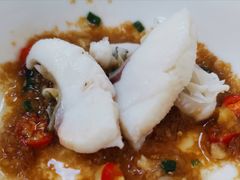-源港渔村-中山脆肉鲩(博罗店)