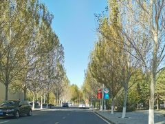 -吉林大学(前卫南区)