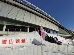 -沈阳奥体冰雪嘉年华