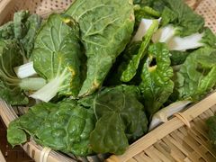 -老长沙罐子楼(平顶山总店)