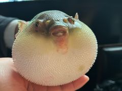 -永安鱼庄·镇江菜(东吴路店)