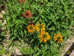 -汉长安城未央宫国家考古遗址公园