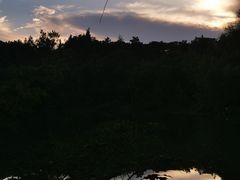 -新洲生态园