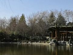 -木塔寺遗址生态公园